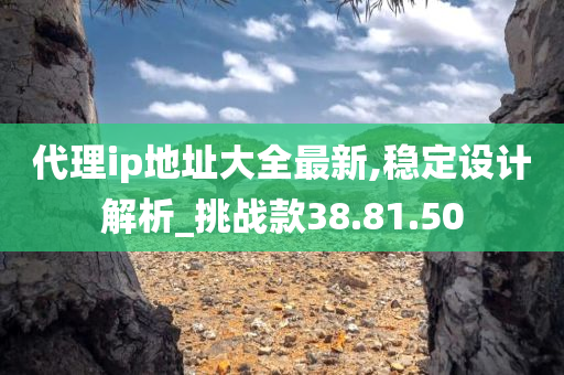 代理ip地址大全最新,稳定设计解析_挑战款38.81.50