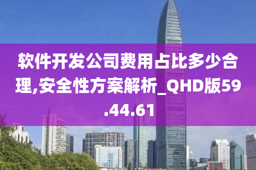 软件开发公司费用占比多少合理,安全性方案解析_QHD版59.44.61