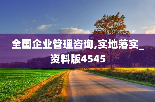 全国企业管理咨询,实地落实_资料版4545