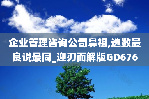 企业管理咨询公司鼻祖,选数最良说最同_迎刃而解版GD676