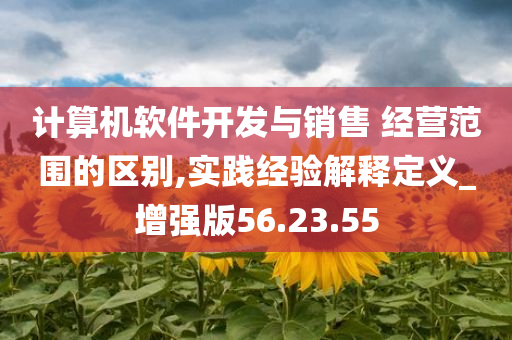 计算机软件开发与销售 经营范围的区别,实践经验解释定义_增强版56.23.55