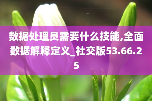 数据处理员需要什么技能,全面数据解释定义_社交版53.66.25