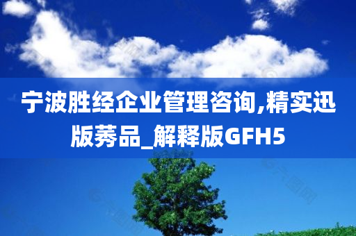 宁波胜经企业管理咨询,精实迅版莠品_解释版GFH5