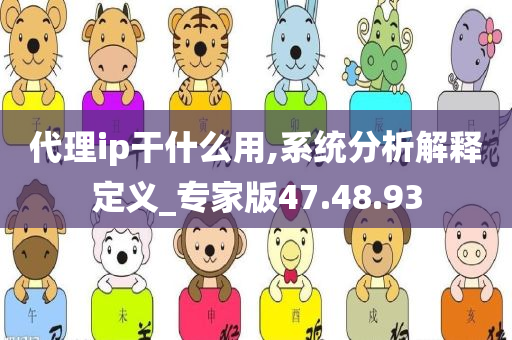 代理ip干什么用,系统分析解释定义_专家版47.48.93