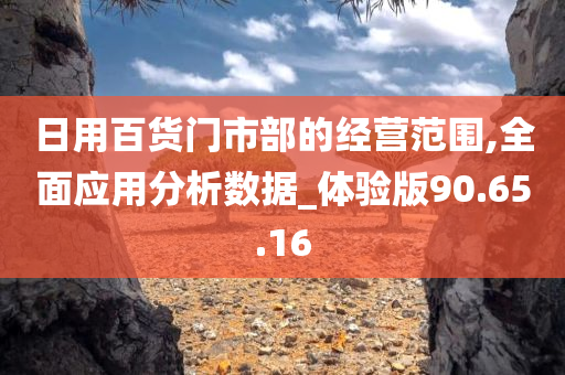 日用百货门市部的经营范围,全面应用分析数据_体验版90.65.16