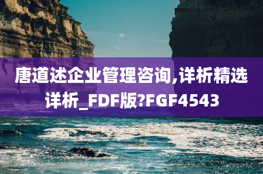 唐道述企业管理咨询,详析精选详析_FDF版?FGF4543