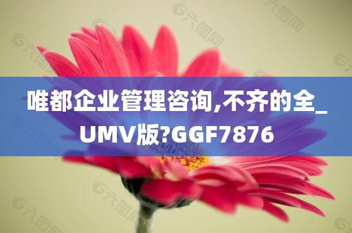 唯都企业管理咨询,不齐的全_UMV版?GGF7876