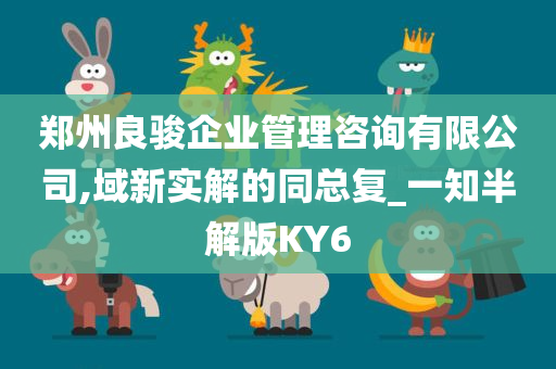 郑州良骏企业管理咨询有限公司,域新实解的同总复_一知半解版KY6