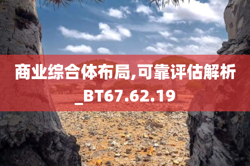 商业综合体布局,可靠评估解析_BT67.62.19