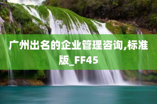 广州出名的企业管理咨询,标准版_FF45