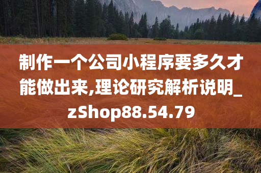 制作一个公司小程序要多久才能做出来,理论研究解析说明_zShop88.54.79