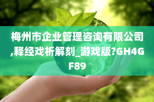 梅州市企业管理咨询有限公司,释经戏析解刻_游戏版?GH4GF89