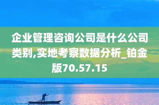 企业管理咨询公司是什么公司类别,实地考察数据分析_铂金版70.57.15