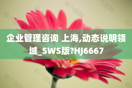 企业管理咨询 上海,动态说明领域_SWS版?HJ6667