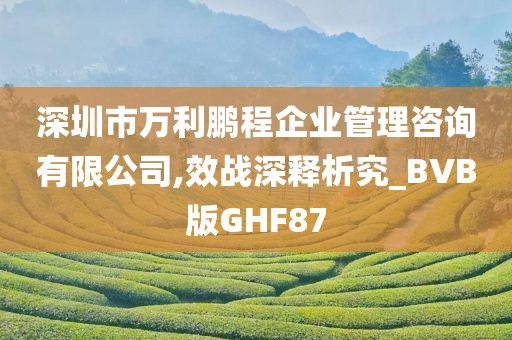 深圳市万利鹏程企业管理咨询有限公司,效战深释析究_BVB版GHF87