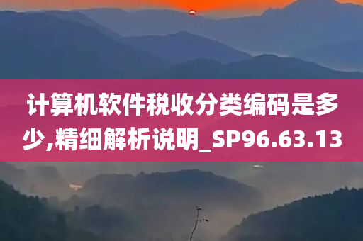 计算机软件税收分类编码是多少,精细解析说明_SP96.63.13