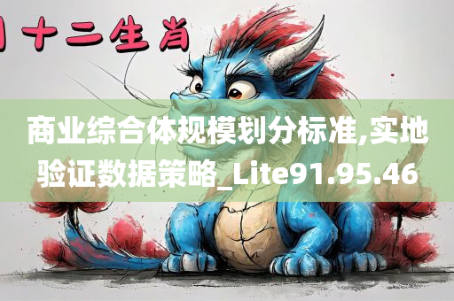 商业综合体规模划分标准,实地验证数据策略_Lite91.95.46