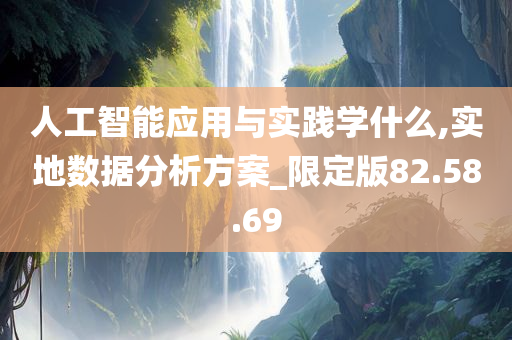 人工智能应用与实践学什么,实地数据分析方案_限定版82.58.69