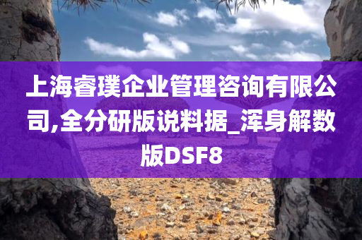 上海睿璞企业管理咨询有限公司,全分研版说料据_浑身解数版DSF8