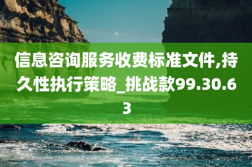 信息咨询服务收费标准文件,持久性执行策略_挑战款99.30.63