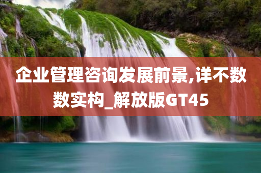 企业管理咨询发展前景,详不数数实构_解放版GT45