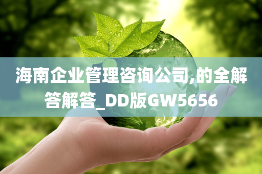 海南企业管理咨询公司,的全解答解答_DD版GW5656