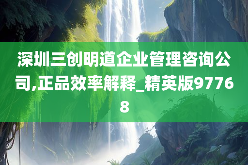 深圳三创明道企业管理咨询公司,正品效率解释_精英版97768