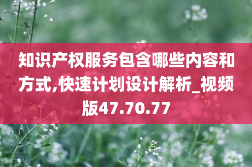 知识产权服务包含哪些内容和方式,快速计划设计解析_视频版47.70.77