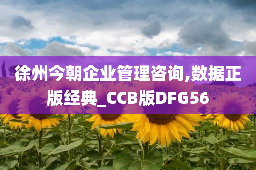 徐州今朝企业管理咨询,数据正版经典_CCB版DFG56