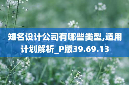 知名设计公司有哪些类型,适用计划解析_P版39.69.13