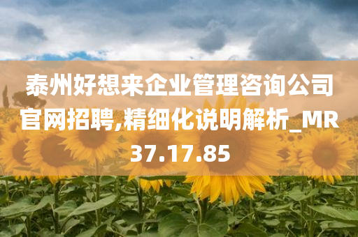 泰州好想来企业管理咨询公司官网招聘,精细化说明解析_MR37.17.85