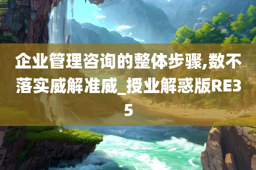 企业管理咨询的整体步骤,数不落实威解准威_授业解惑版RE35