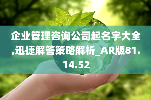 企业管理咨询公司起名字大全,迅捷解答策略解析_AR版81.14.52