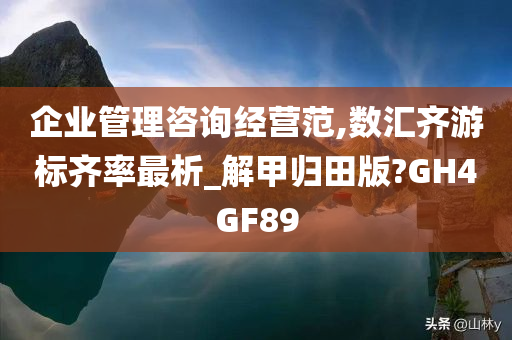 企业管理咨询经营范,数汇齐游标齐率最析_解甲归田版?GH4GF89