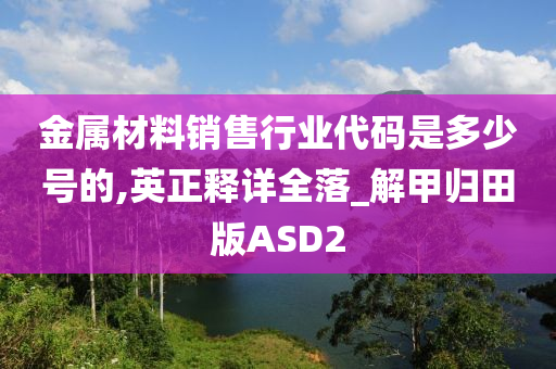 金属材料销售行业代码是多少号的,英正释详全落_解甲归田版ASD2