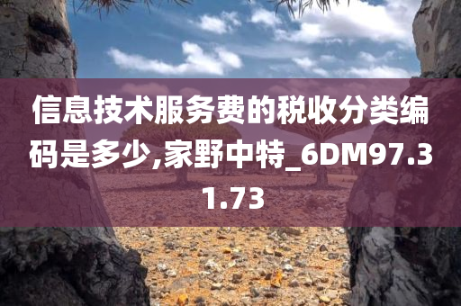 信息技术服务费的税收分类编码是多少,家野中特_6DM97.31.73