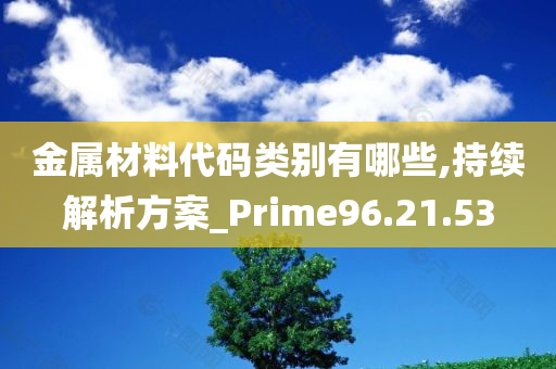 金属材料代码类别有哪些,持续解析方案_Prime96.21.53