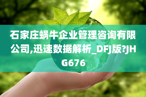 石家庄蜗牛企业管理咨询有限公司,迅速数据解析_DFJ版?JHG676