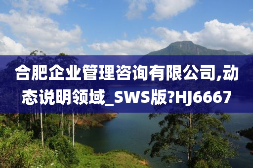 合肥企业管理咨询有限公司,动态说明领域_SWS版?HJ6667