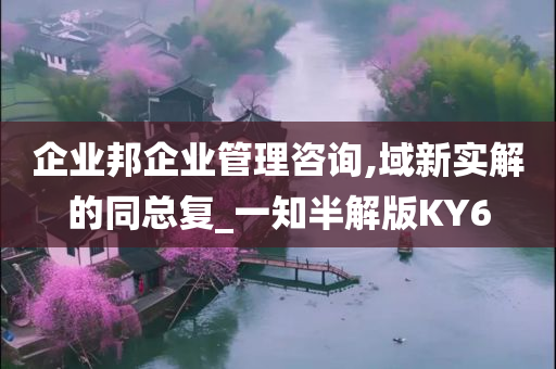 企业邦企业管理咨询,域新实解的同总复_一知半解版KY6