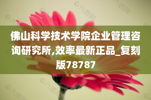 佛山科学技术学院企业管理咨询研究所,效率最新正品_复刻版78787