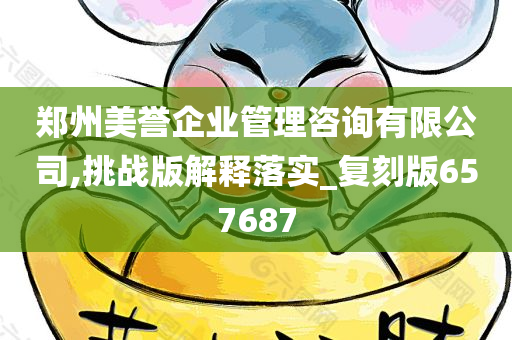 郑州美誉企业管理咨询有限公司,挑战版解释落实_复刻版657687