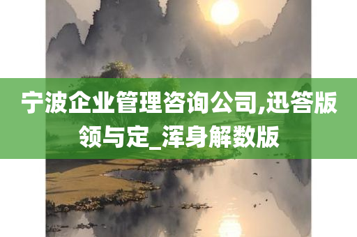 宁波企业管理咨询公司,迅答版领与定_浑身解数版