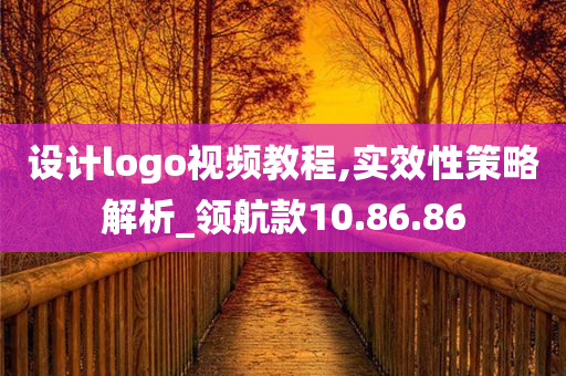 设计logo视频教程,实效性策略解析_领航款10.86.86