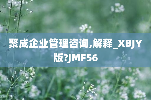 聚成企业管理咨询,解释_XBJY版?JMF56