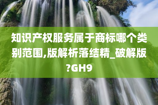 知识产权服务属于商标哪个类别范围,版解析落结精_破解版?GH9