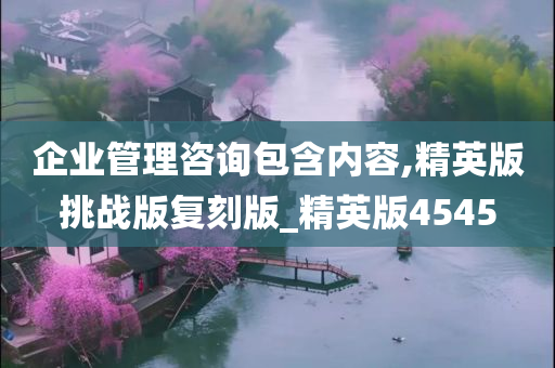 企业管理咨询包含内容,精英版挑战版复刻版_精英版4545