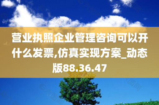 营业执照企业管理咨询可以开什么发票,仿真实现方案_动态版88.36.47