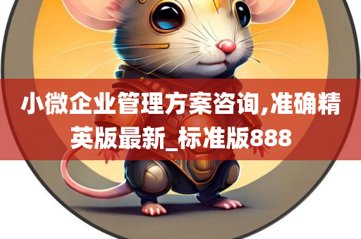 小微企业管理方案咨询,准确精英版最新_标准版888