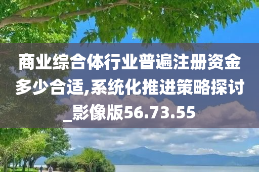 商业综合体行业普遍注册资金多少合适,系统化推进策略探讨_影像版56.73.55